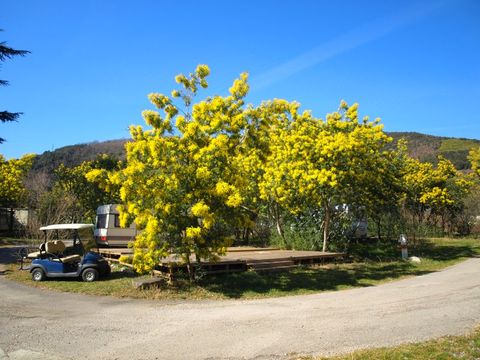 Camping du Riuferrer - Camping Pyrénées-Orientales - Image N°23