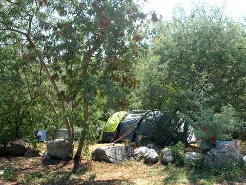 Camping du Riuferrer - Camping Pyrénées-Orientales - Image N°23