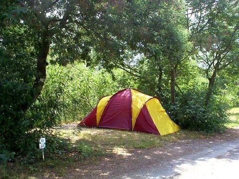 Camping du Riuferrer - Camping Pyrénées-Orientales - Image N°22