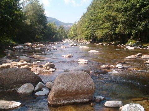 Camping Paradis - Vallespir  - Camping Pyrénées-Orientales - Image N°24