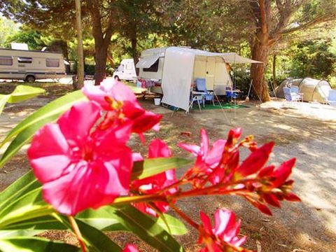 Camping Rives des Corbières - Camping Aude - Image N°27