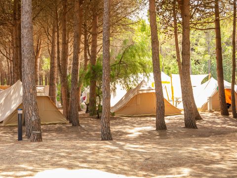 Camping Rives des Corbières - Camping Aude - Image N°18