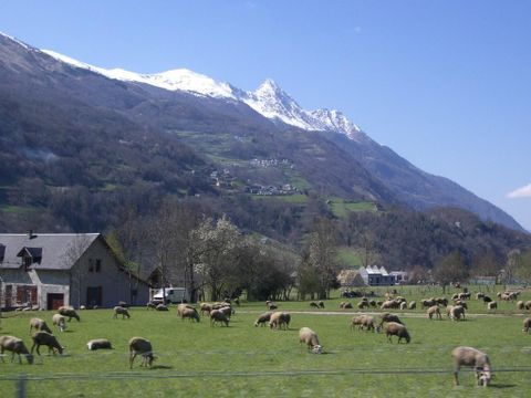 Camping Sites et Paysages - Pyrénévasion  - Camping Hautes-Pyrénées - Image N°36