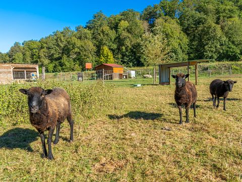 Camping Paradis Ombre des Tilleuls - Camping Hautes-Pyrenees - Image N°17