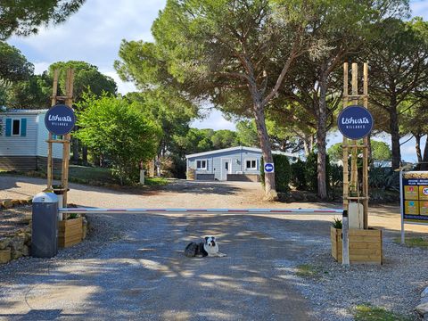 Camping Ushuaïa Villages Figurotta - Camping Aude - Image N°35