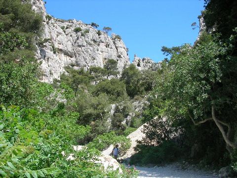 Camping de Ceyreste - Camping Bouches-du-Rhône - Image N°43