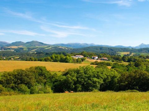 Camping Arotxa Karrita - Camping Pyrénées-Atlantiques - Image N°3