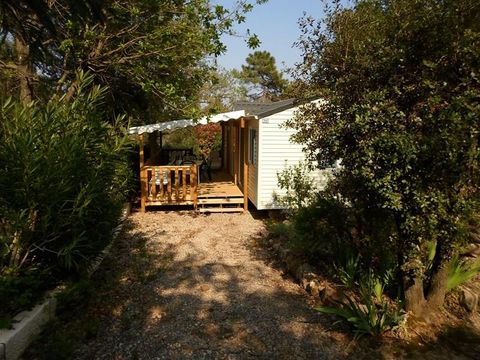 MOBILE HOME 6 people - Cottage Espace B - 3 bedrooms - 36/40m² - France