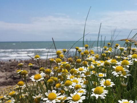 Camping Les Terrasses - Camping Hérault - Image N°16