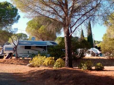 Camping Les Terrasses - Camping Hérault - Image N°5