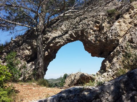 Camping Les Terrasses - Camping Hérault - Image N°42