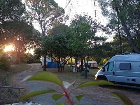 Camping Les Terrasses - Camping Hérault - Image N°6