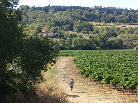 Camping Les Terrasses - Camping Hérault - Image N°41