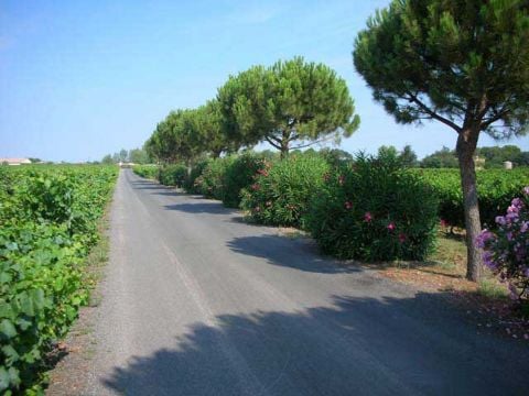 Domaine De Montrose - Camping Hérault - Image N°19