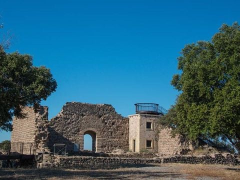 Domaine De Montrose - Camping Hérault - Image N°26