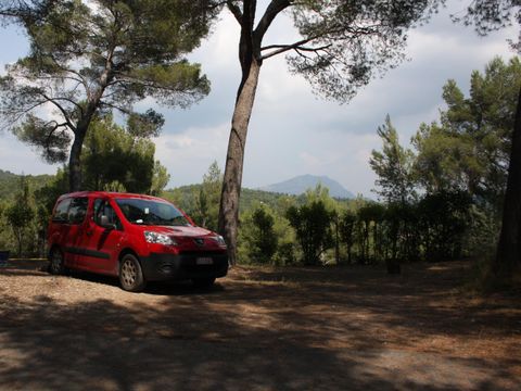 Camping Chantecler - Camping Bouches-du-Rhone - Image N°19