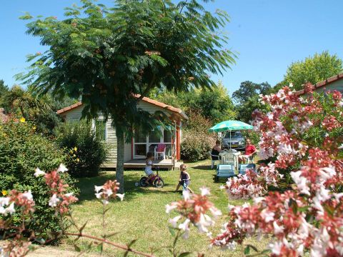 Camping Sites et Paysages - Lou P'tit Poun  - Camping Landes - Image N°31