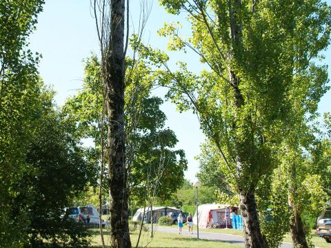 Camping Sites et Paysages - Lou P'tit Poun  - Camping Landes - Image N°25