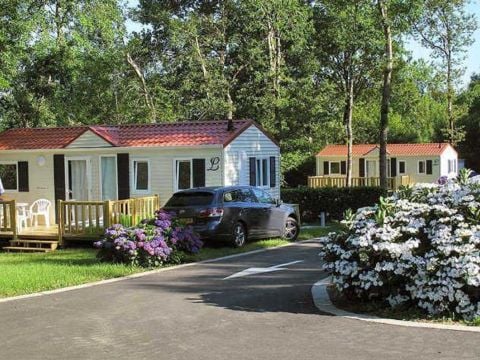 Camping Sites et Paysages - Lou P'tit Poun  - Camping Landes - Image N°56