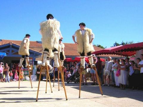 Camping Sites et Paysages - Lou P'tit Poun  - Camping Landes - Image N°19