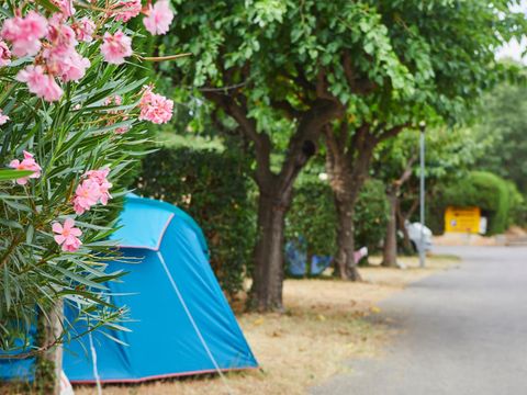 Camping La Paoute - Camping Alpes-Maritimes - Image N°15