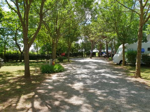 Flower Camping Le Fou du Roi - Camping Herault - Image N°21