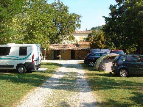 Camping Frederic Mistral - Camping Alpes-de-Haute-Provence - Image N°5