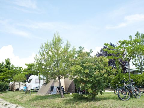 Camping Les Routes de Provence - Camping Alpes-de-Haute-Provence - Image N°59