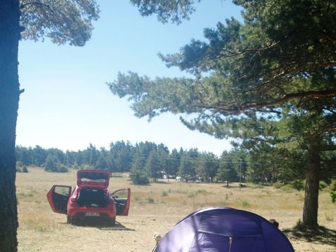 Camping Domaine de Pradines - Camping Gard - Image N°8