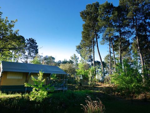 CANVAS AND WOOD TENT 5 people - Baroudeur (without private bathroom)