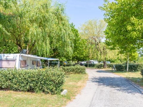 Camping Les Pres Hauts - Sites et Paysages  - Camping Alpes-de-Haute-Provence - Image N°19