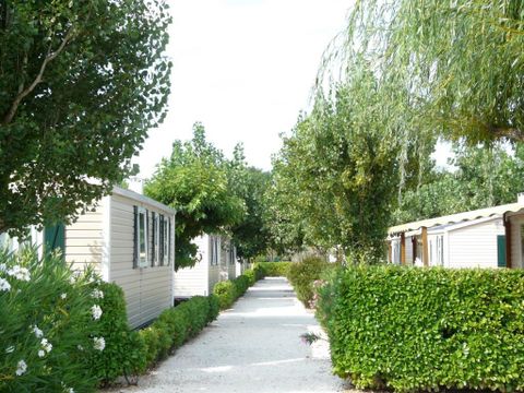 MOBILE HOME 4 people - MH2 PARADIS 30 m², with sanitary facilities