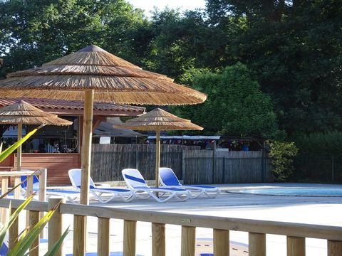 Le Camping Municipal du Lac - Camping Landes - Image N°3