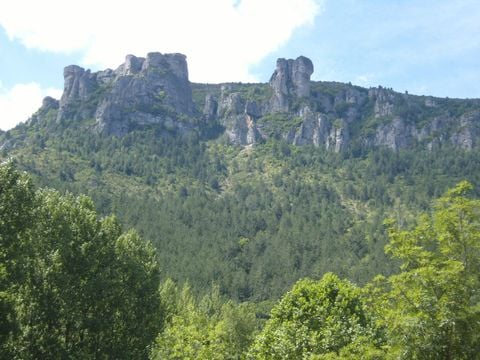 Flower Camping Le Pont du Tarn - Camping Lozere - Image N°67