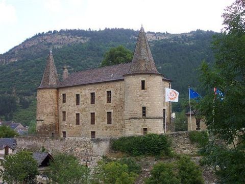 Flower Camping Le Pont du Tarn - Camping Lozere - Image N°54