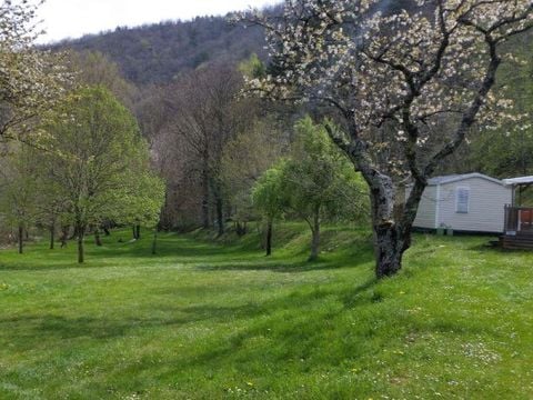 Flower Camping Le Pont du Tarn - Camping Lozere - Image N°38