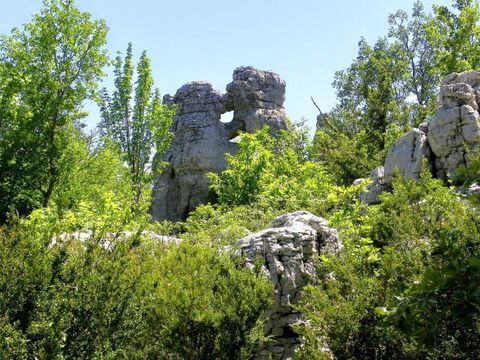 Flower Camping Les Paillotes en Ardeche - Camping Ardeche - Image N°108