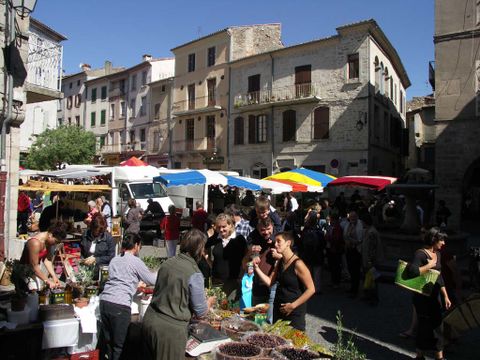 Flower Camping Les Paillotes en Ardeche - Camping Ardeche - Image N°128