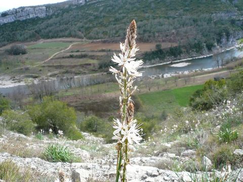 Camping Les Hortensias - Camping Ardèche - Image N°28