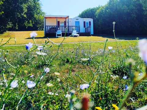 MOBILE HOME 6 people - PANORAMIC DORDOGNE