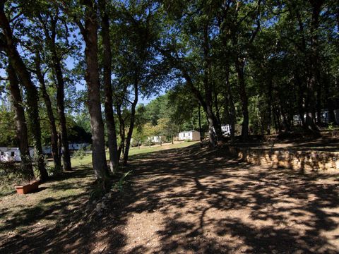 TENT 4 people - Ready to camp (without sanitary facilities)