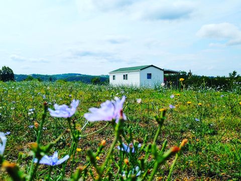 MOBILE HOME 6 people - DORDOGNE (air-conditioned)