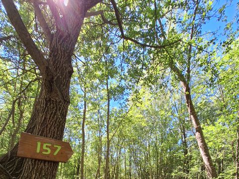 TENTE TOILE ET BOIS 2 personnes - Flo'Tente