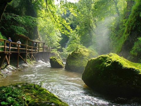 Flower Camping Le Belvédère - Camping Cantal