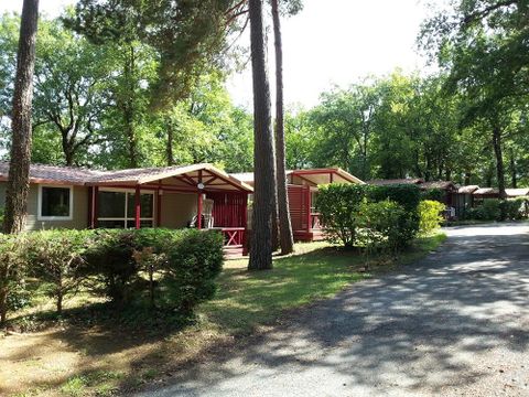 Village Vacances - Les Truffières de Dordogne - La Bouquerie - Camping Dordogne - Image N°47