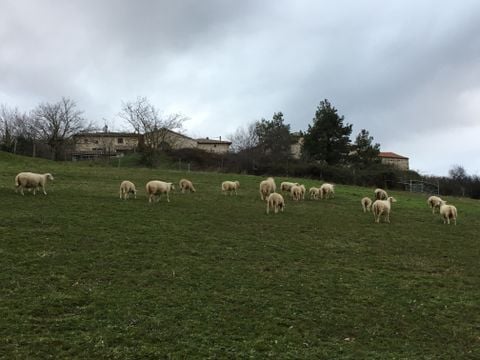 GÎTE 4 personnes - Rural