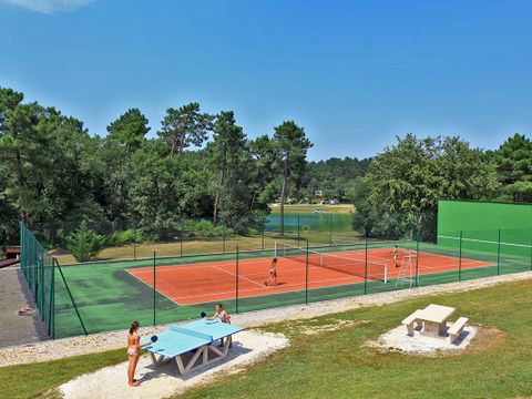 Gaia Ecolodge - Camping Dordogne - Image N°3