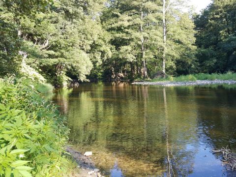 Camping Les Berges du Doux - Camping Ardèche - Image N°14