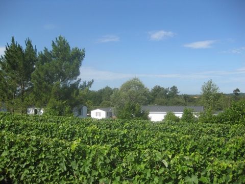 Camping La Motte - Camping Charente-Maritime - Image N°11