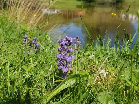 Camping La Motte - Camping Charente-Maritime